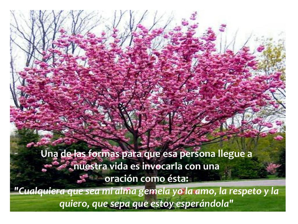 Una de las formas para que esa persona llegue a