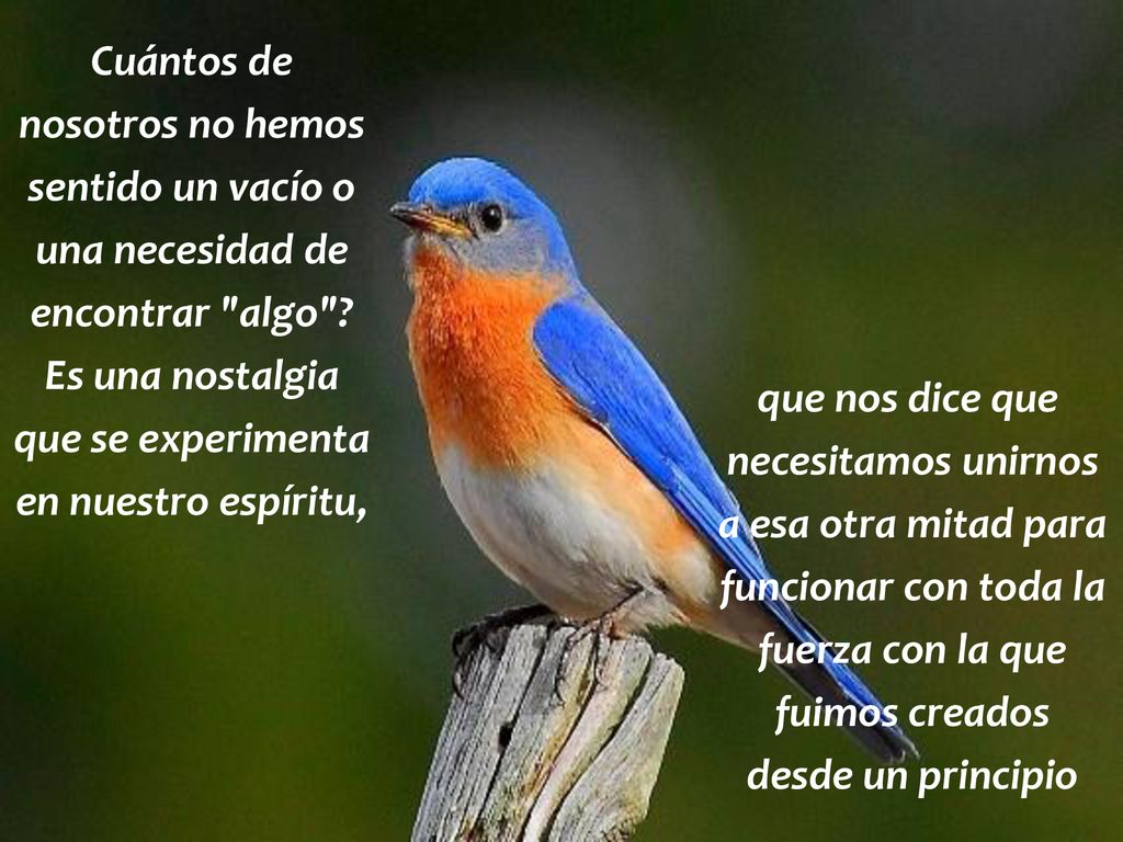 Cuántos de nosotros no hemos. sentido un vacío o. una necesidad de. encontrar algo Es una nostalgia.