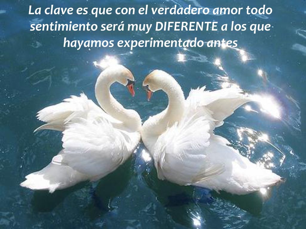 La clave es que con el verdadero amor todo sentimiento será muy DIFERENTE a los que hayamos experimentado antes
