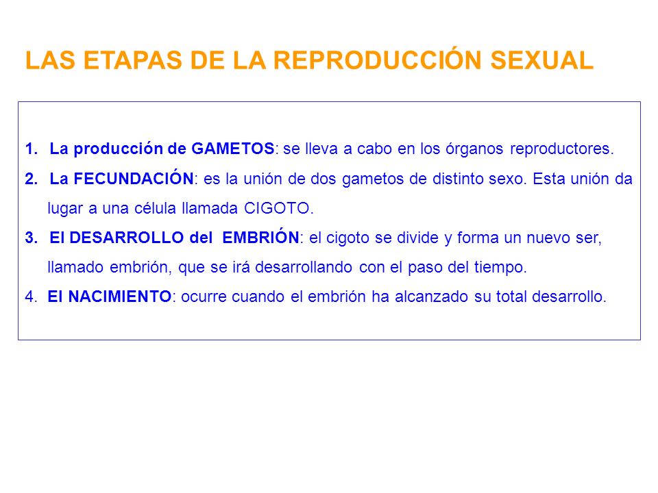 LAS ETAPAS DE LA REPRODUCCIÓN SEXUAL