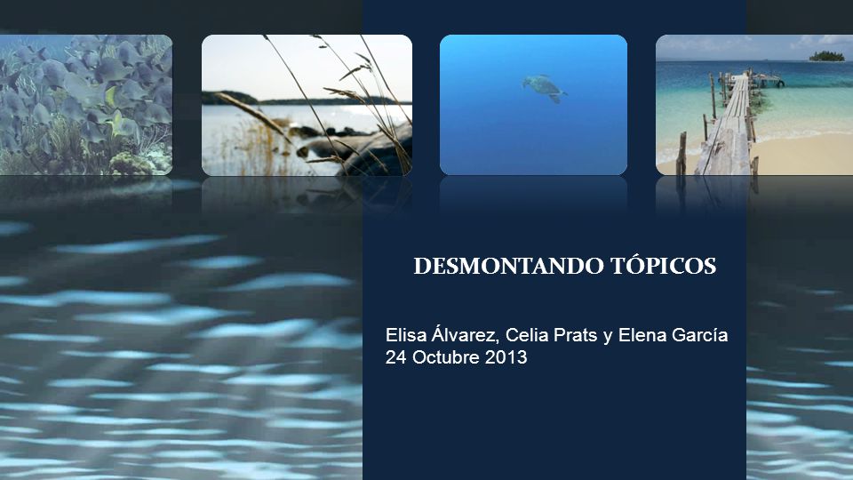 Elisa Álvarez, Celia Prats y Elena García 24 Octubre 2013