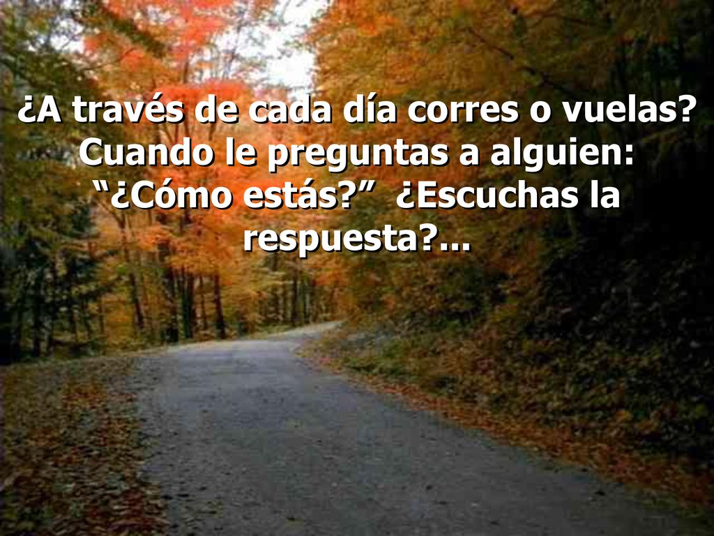 ¿A través de cada día corres o vuelas
