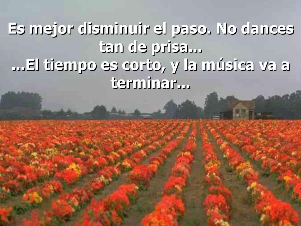 Es mejor disminuir el paso. No dances tan de prisa
