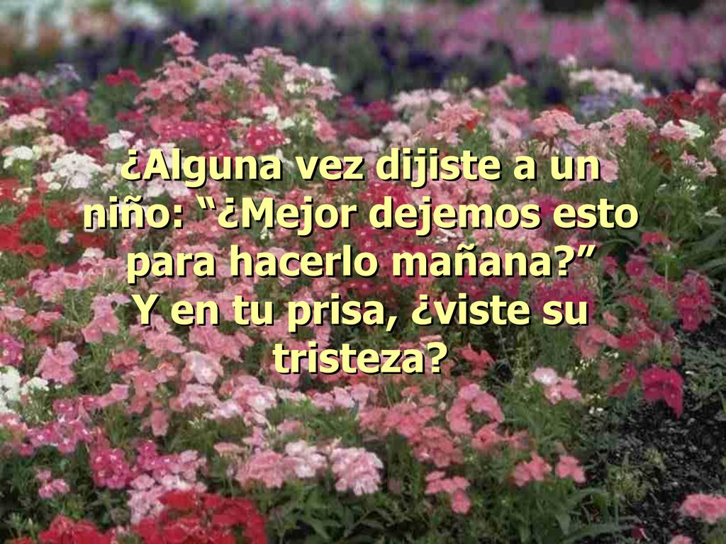 ¿Alguna vez dijiste a un niño: ¿Mejor dejemos esto para hacerlo mañana Y en tu prisa, ¿viste su tristeza