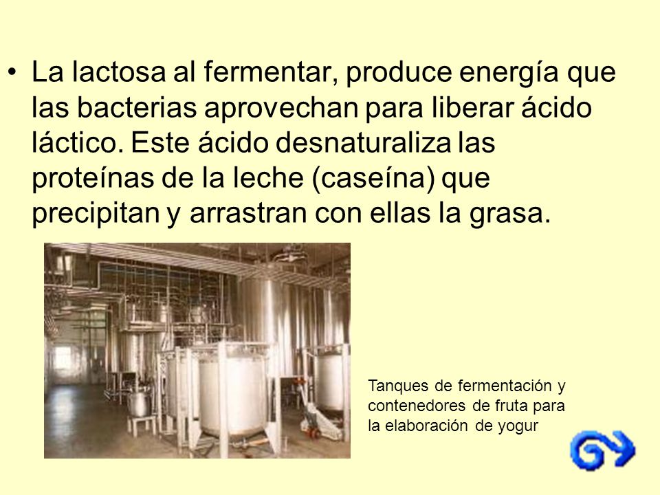 La lactosa al fermentar, produce energía que las bacterias aprovechan para liberar ácido láctico. Este ácido desnaturaliza las proteínas de la leche (caseína) que precipitan y arrastran con ellas la grasa.