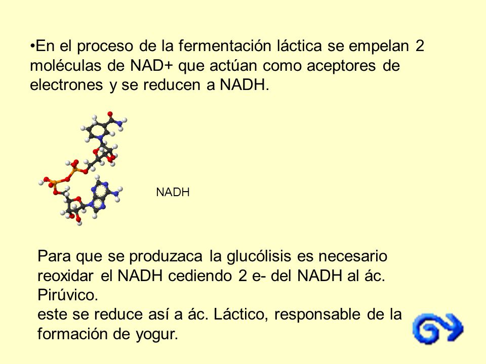 En el proceso de la fermentación láctica se empelan 2 moléculas de NAD+ que actúan como aceptores de electrones y se reducen a NADH.