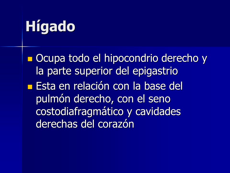 Hígado Ocupa todo el hipocondrio derecho y la parte superior del epigastrio.