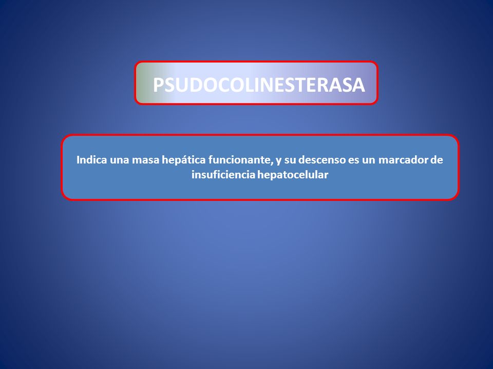 PSUDOCOLINESTERASA Indica una masa hepática funcionante, y su descenso es un marcador de insuficiencia hepatocelular.