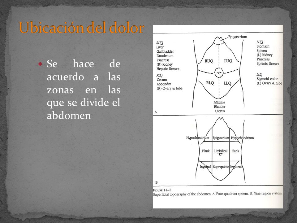 Ubicación del dolor Se hace de acuerdo a las zonas en las que se divide el abdomen