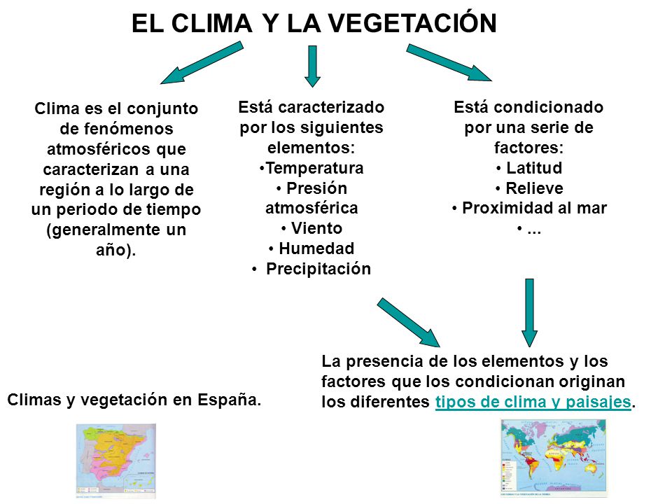 EL CLIMA Y LA VEGETACIÓN