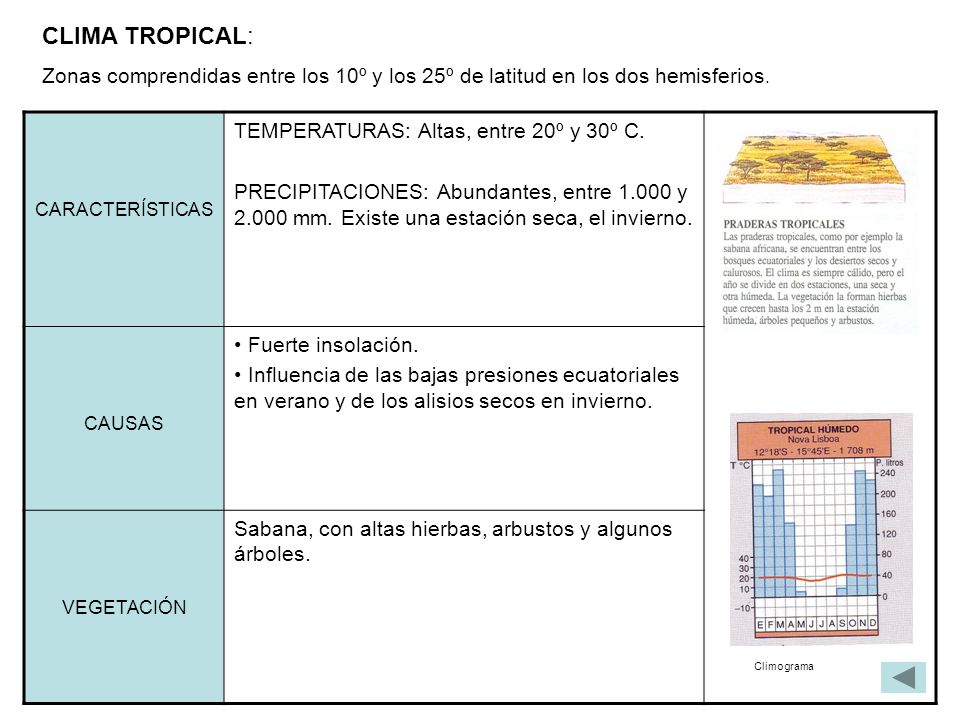 CLIMA TROPICAL: Zonas comprendidas entre los 10º y los 25º de latitud en los dos hemisferios. CARACTERÍSTICAS.