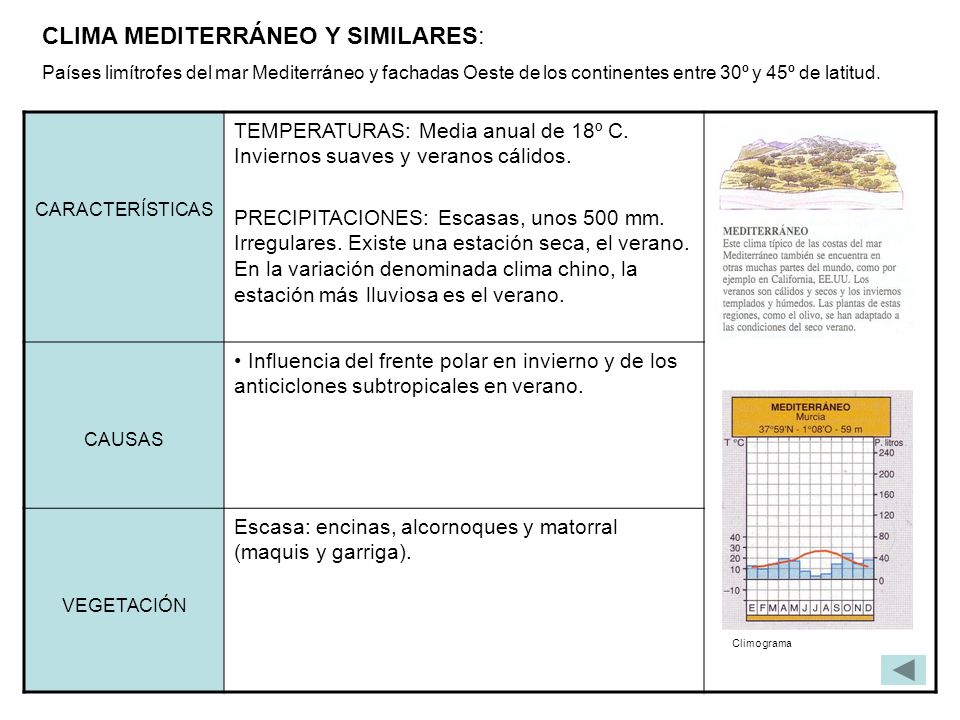 CLIMA MEDITERRÁNEO Y SIMILARES: