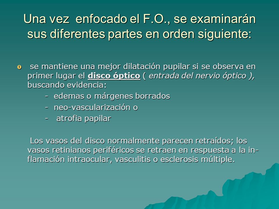 Una vez enfocado el F.O., se examinarán sus diferentes partes en orden siguiente:
