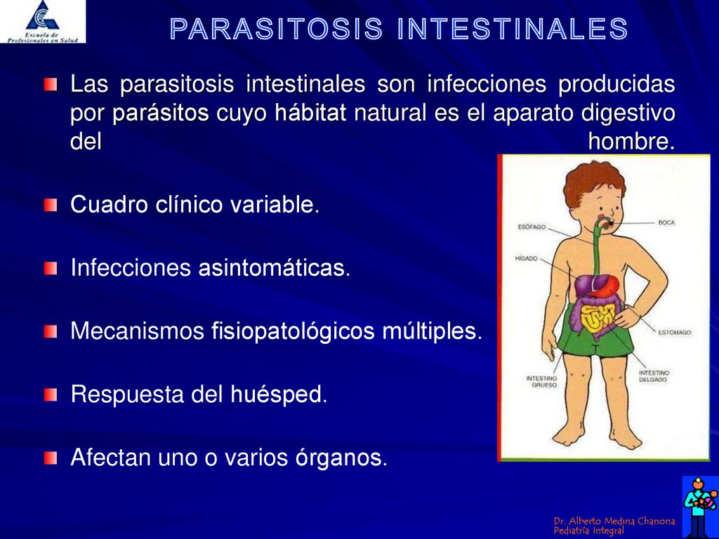 Las parasitosis intestinales son infecciones producidas por parásitos cuyo hábitat natural es el aparato digestivo del hombre.
