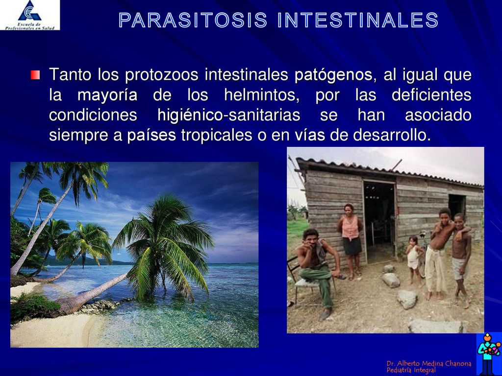 Tanto los protozoos intestinales patógenos, al igual que la mayoría de los helmintos, por las deficientes condiciones higiénico-sanitarias se han asociado siempre a países tropicales o en vías de desarrollo.