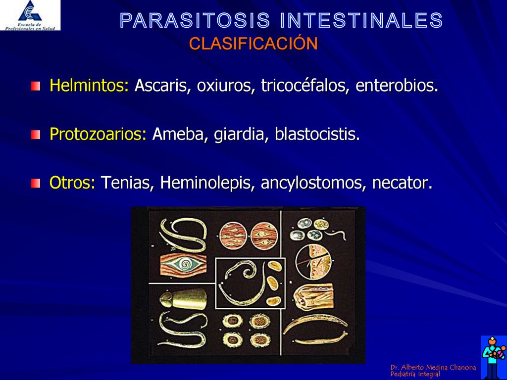 CLASIFICACIÓN Helmintos: Ascaris, oxiuros, tricocéfalos, enterobios. Protozoarios: Ameba, giardia, blastocistis.