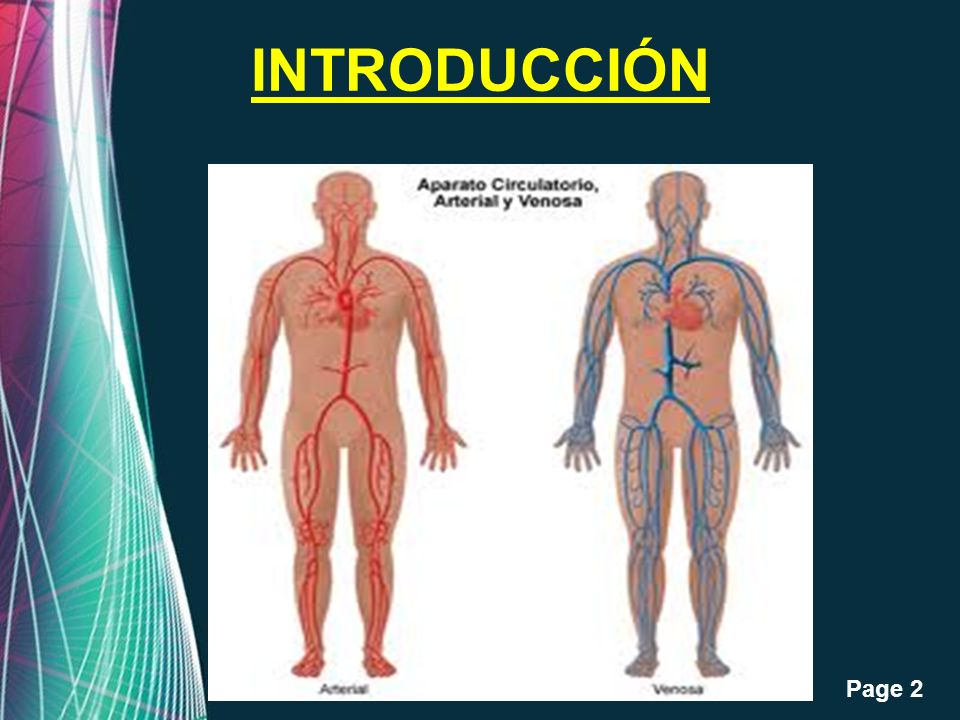INTRODUCCIÓN