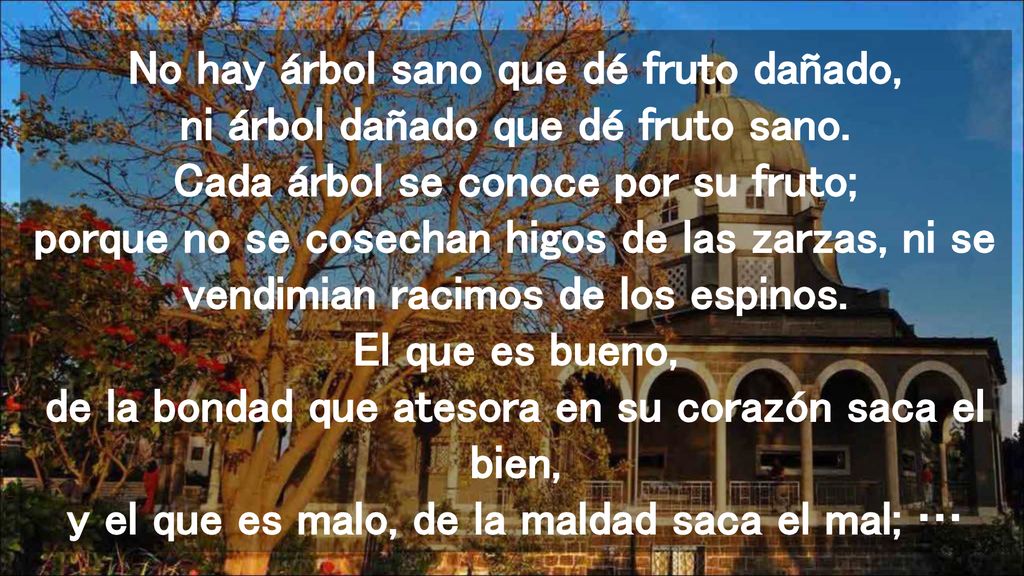 No hay árbol sano que dé fruto dañado, ni árbol dañado que dé fruto sano.