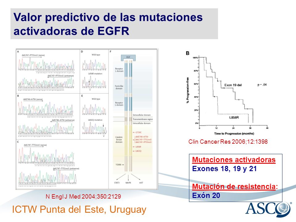 Valor predictivo de las mutaciones activadoras de EGFR