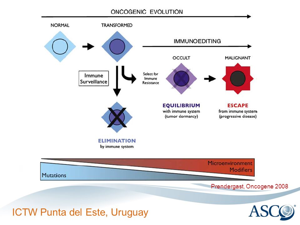 Figure 1 Integration of immunoediting and oncogenesis during cancer progression. Oncogenesis initiates the formation of