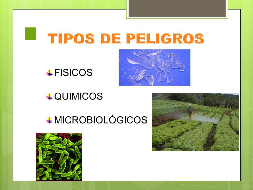 TIPOS DE PELIGROS FISICOS QUIMICOS MICROBIOLÓGICOS