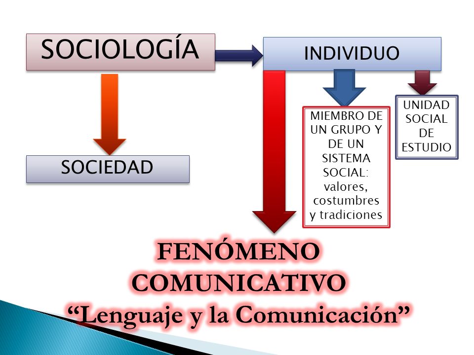 FENÓMENO COMUNICATIVO Lenguaje y la Comunicación