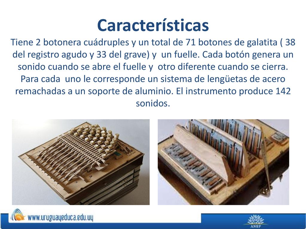 Características Tiene 2 botonera cuádruples y un total de 71 botones de galatita ( 38 del registro agudo y 33 del grave) y un fuelle.