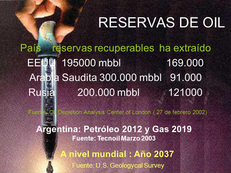 Argentina: Petróleo 2012 y Gas 2019 Fuente: Tecnoil Marzo 2003