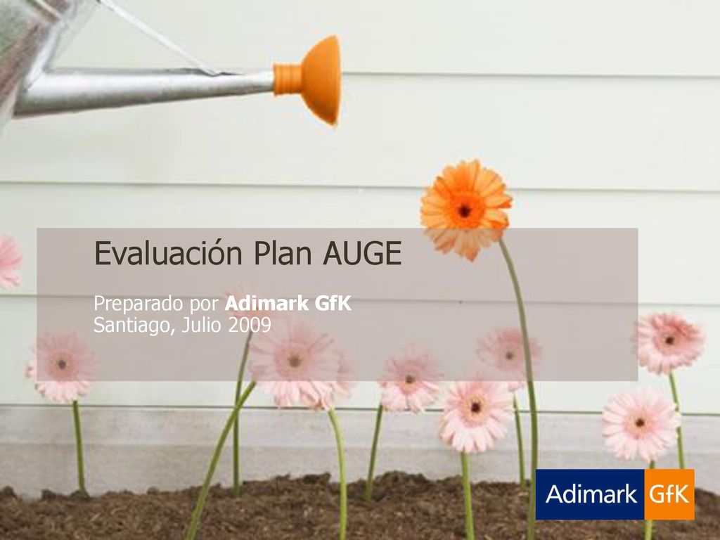 Evaluación Plan AUGE Preparado por Adimark GfK Santiago, Julio 2009