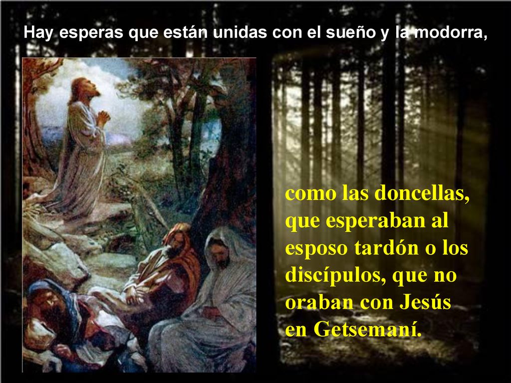 Hay esperas que están unidas con el sueño y la modorra,