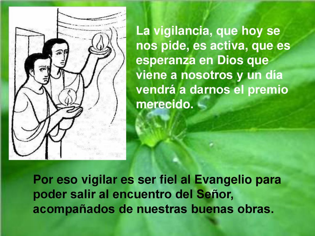 La vigilancia, que hoy se nos pide, es activa, que es esperanza en Dios que viene a nosotros y un día vendrá a darnos el premio merecido.