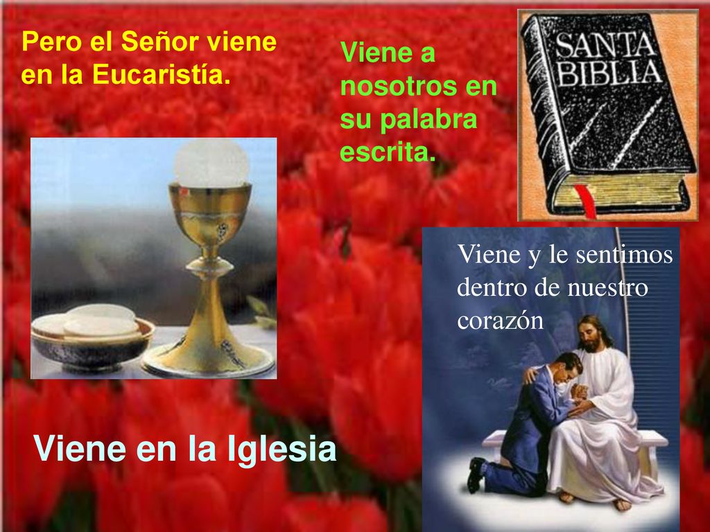 Viene en la Iglesia Pero el Señor viene en la Eucaristía.