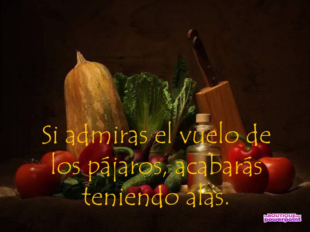 Si admiras el vuelo de los pájaros, acabarás teniendo alas.