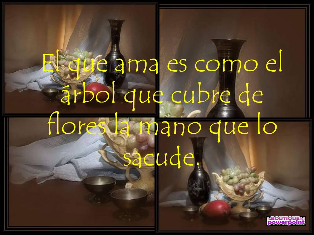 El que ama es como el árbol que cubre de flores la mano que lo sacude.