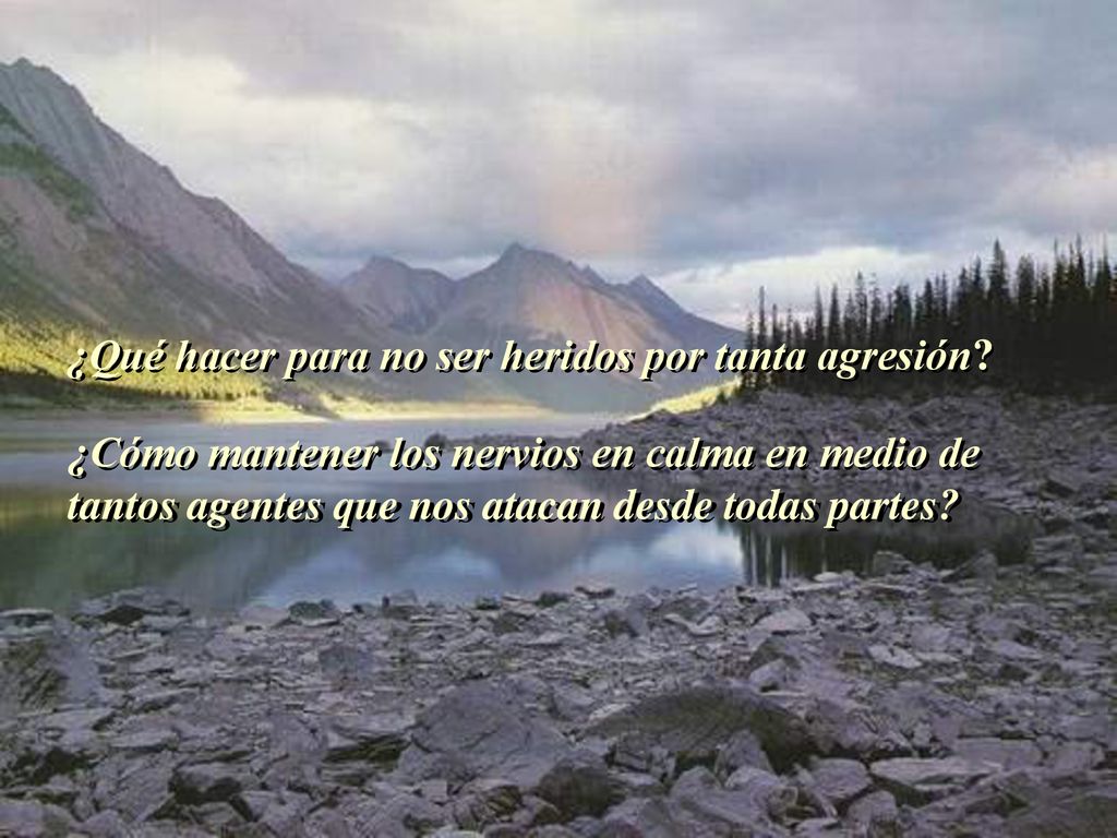 ¿Qué hacer para no ser heridos por tanta agresión