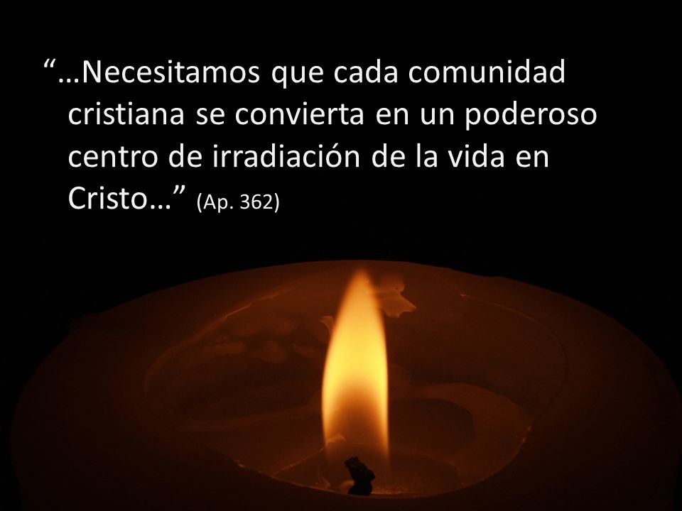 …Necesitamos que cada comunidad cristiana se convierta en un poderoso centro de irradiación de la vida en Cristo… (Ap.