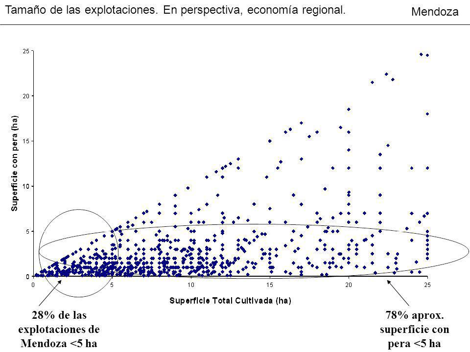 Tamaño de las explotaciones. En perspectiva, economía regional.
