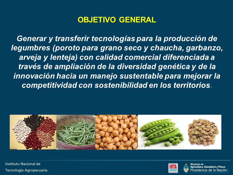 OBJETIVO GENERAL Generar y transferir tecnologías para la producción de legumbres (poroto para grano seco y chaucha, garbanzo, arveja y lenteja) con calidad comercial diferenciada a través de ampliación de la diversidad genética y de la innovación hacia un manejo sustentable para mejorar la competitividad con sostenibilidad en los territorios.