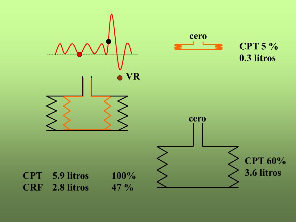 cero CPT 5 % 0.3 litros VR CPT 60% 3.6 litros CPT 5.9 litros 100% CRF 2.8 litros 47 %