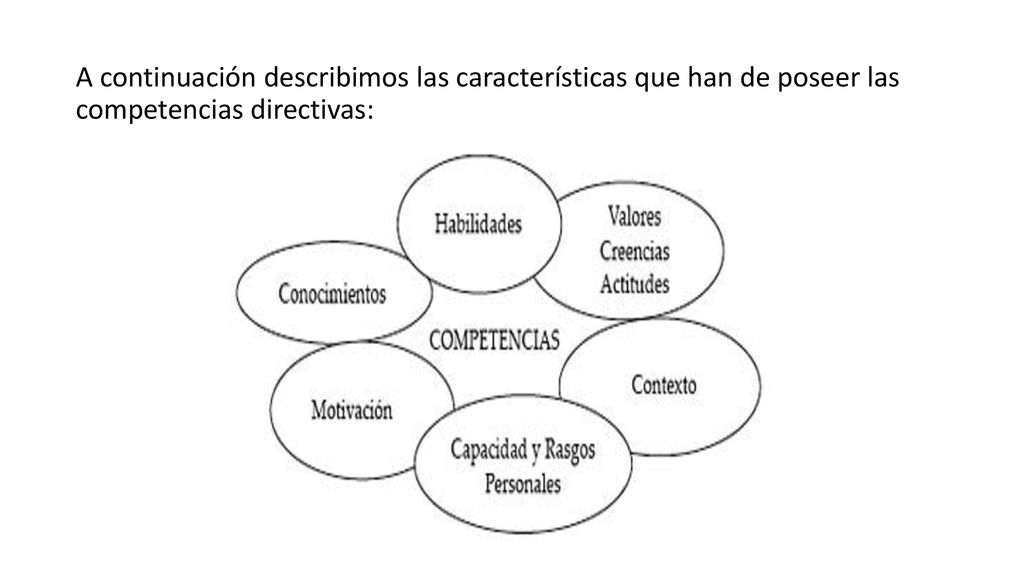 A continuación describimos las características que han de poseer las competencias directivas: