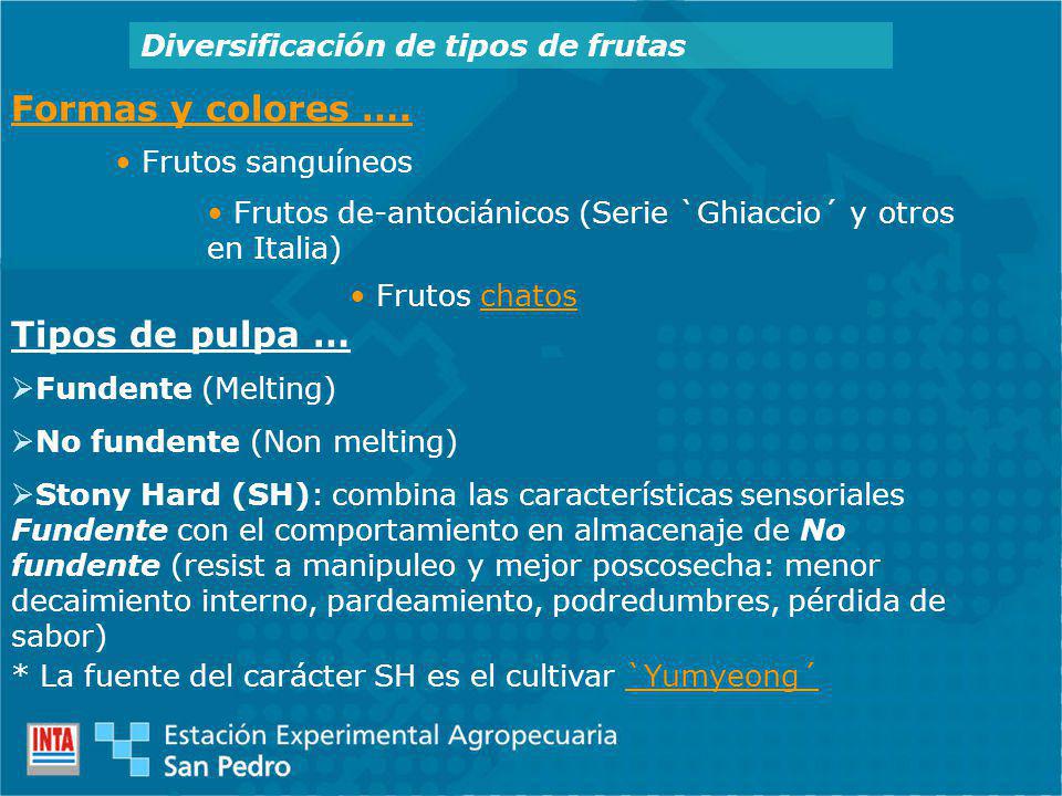 Formas y colores …. Tipos de pulpa …