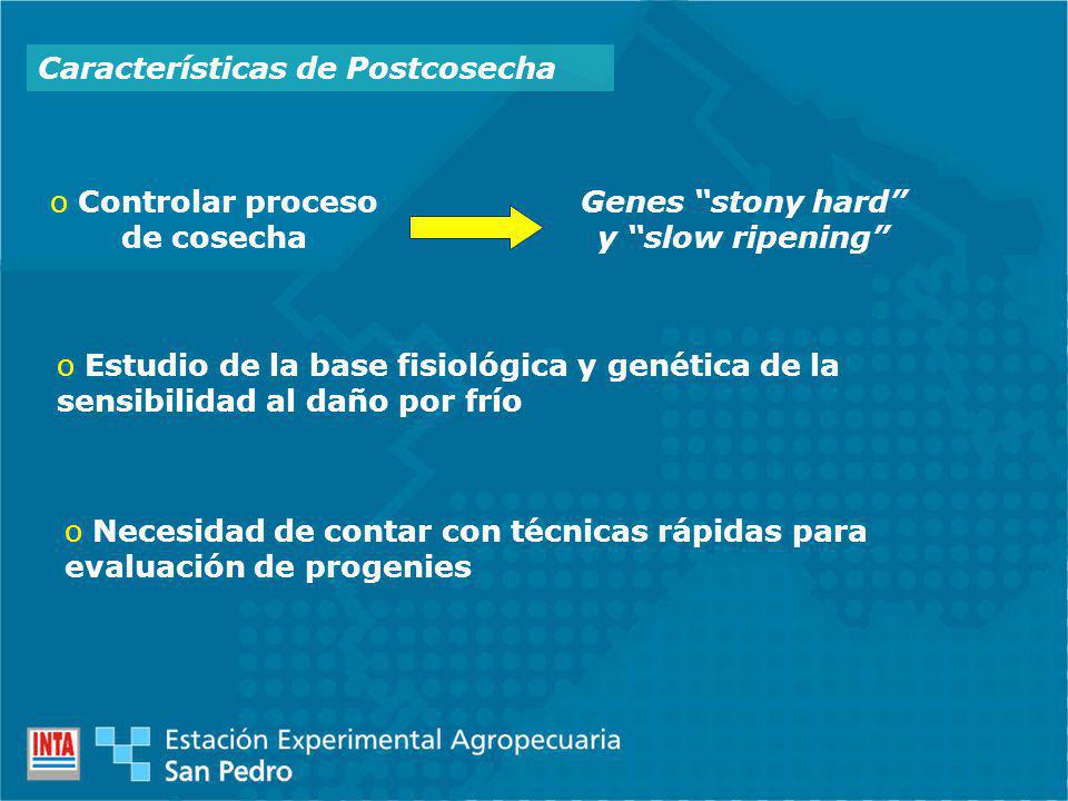 Controlar proceso de cosecha Genes stony hard y slow ripening