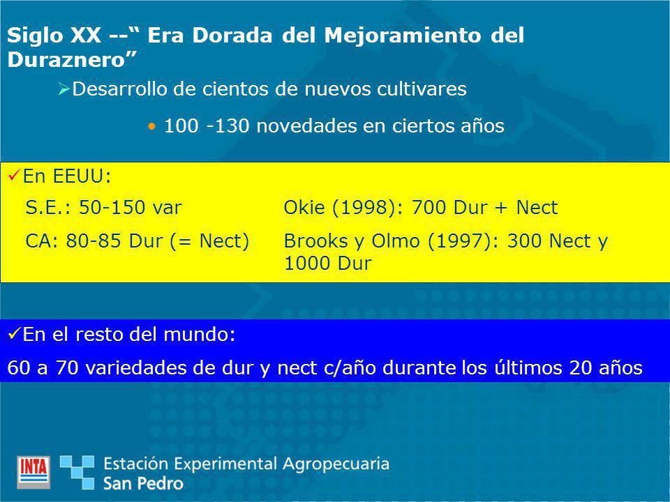 Siglo XX -- Era Dorada del Mejoramiento del Duraznero