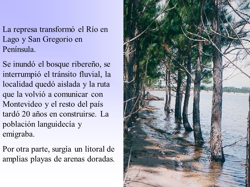 La represa transformó el Río en Lago y San Gregorio en Península.