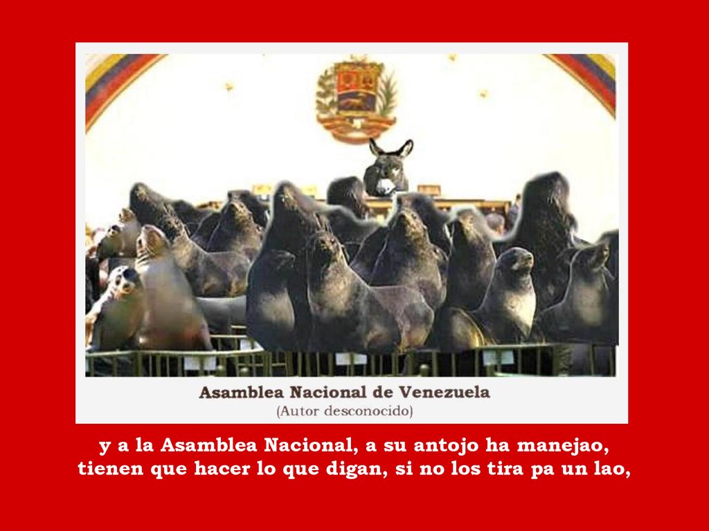 y a la Asamblea Nacional, a su antojo ha manejao, tienen que hacer lo que digan, si no los tira pa un lao,