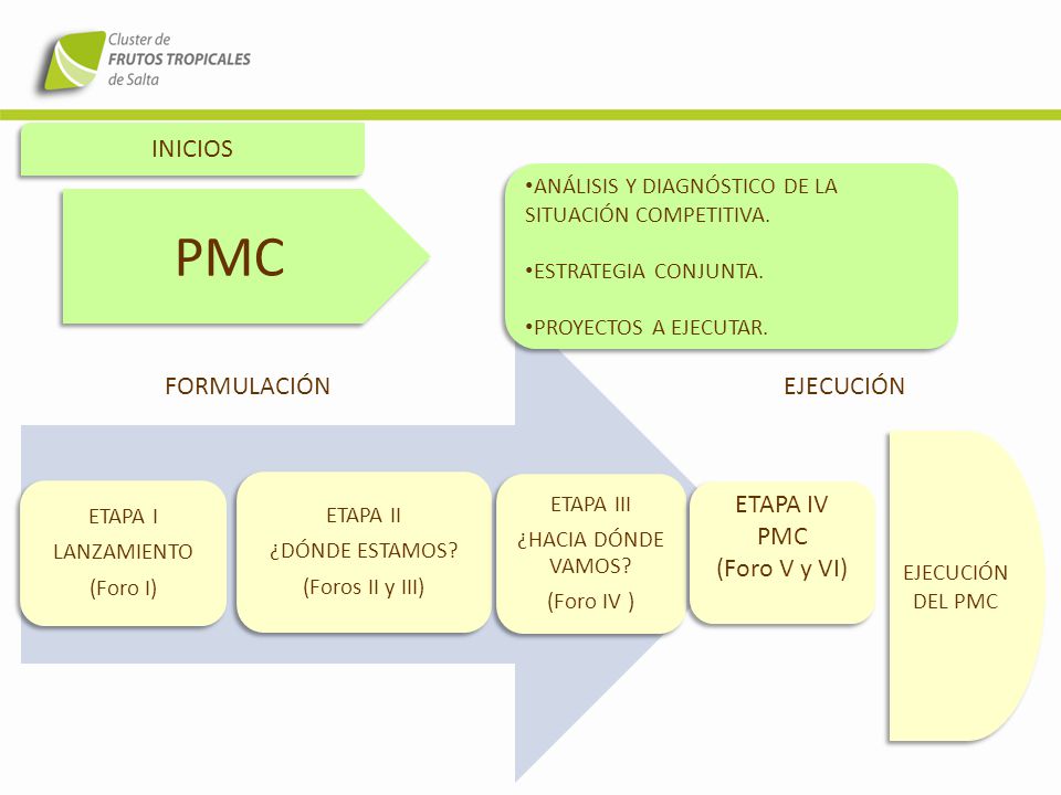 PMC INICIOS FORMULACIÓN EJECUCIÓN ETAPA IV PMC (Foro V y VI)