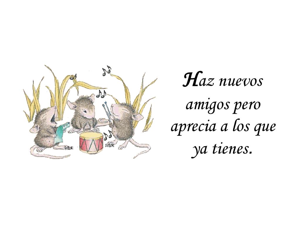 Haz nuevos amigos pero aprecia a los que ya tienes.