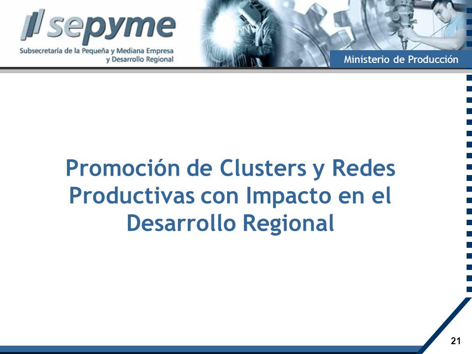 Promoción de Clusters y Redes Productivas con Impacto en el Desarrollo Regional