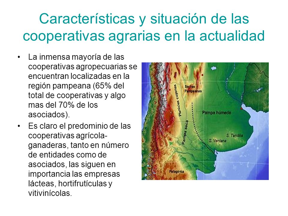 Características y situación de las cooperativas agrarias en la actualidad