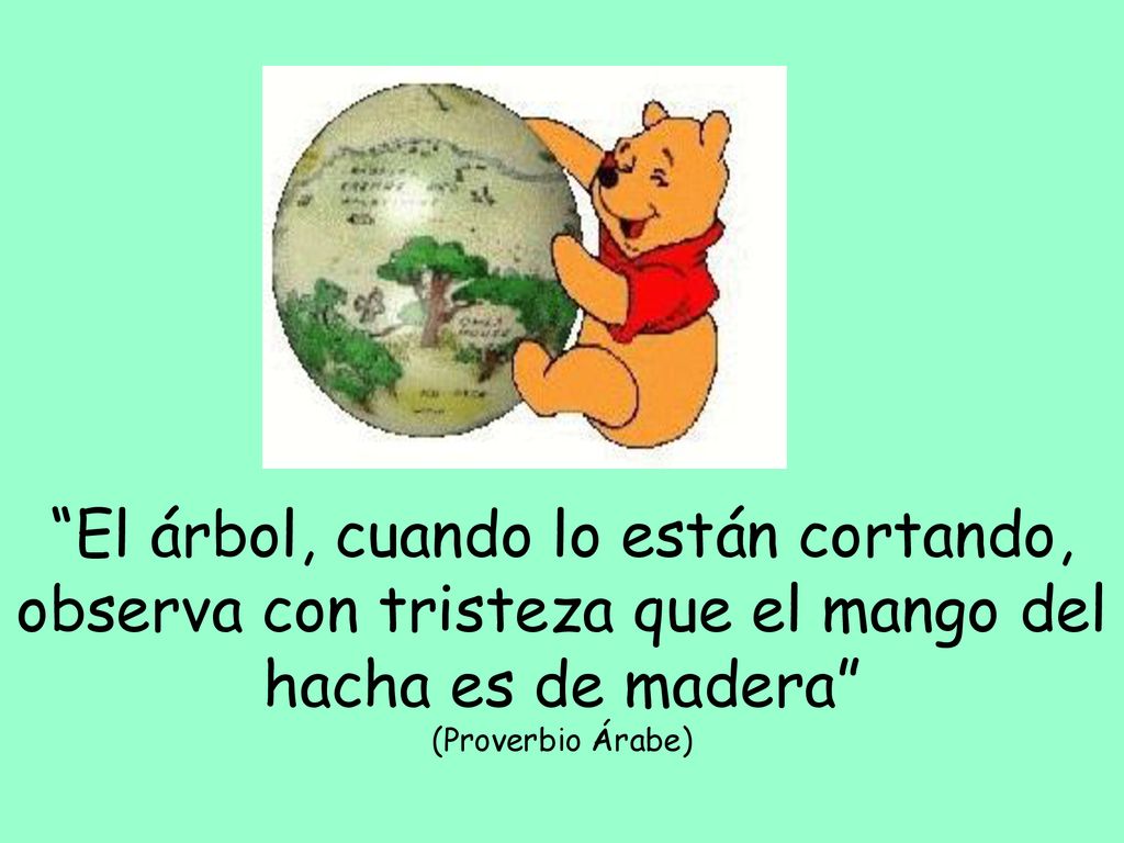 El árbol, cuando lo están cortando, observa con tristeza que el mango del hacha es de madera (Proverbio Árabe)